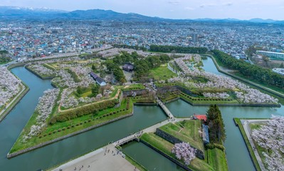 Goryokaku star fortress with full blooming of cherry blossom trees at Hakodate, Japan.