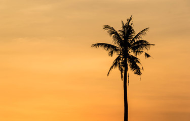 Fototapeta na wymiar Silhouette palm tree with sunset background