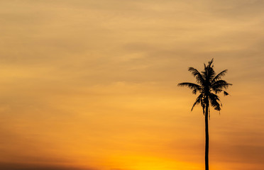 Obraz na płótnie Canvas Silhouette palm tree with sunset background