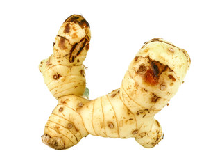 galangal rhizome or alpinia galanga isolated on white background, Ingredients of herbs for healing and healthy food or medical concept