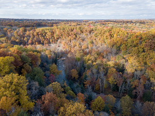 Fall Forest in Midwest Aerial Photography 