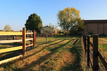 Fence in the village