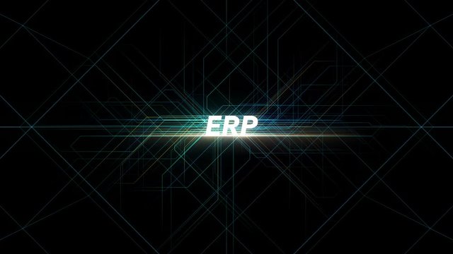 Digital Lines Tech Word - ERP