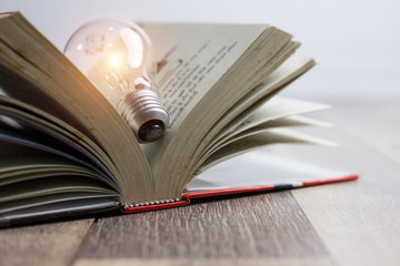 Light bulbs glowing with book