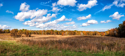 Fototapeta premium Autumn