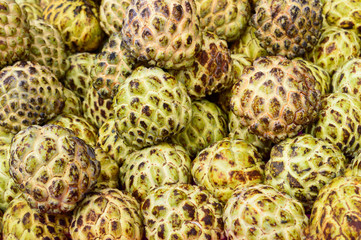 Obraz premium Sugar-apple, sweet sop, or custard apple botanical name ( Annona reticulata) Close up.