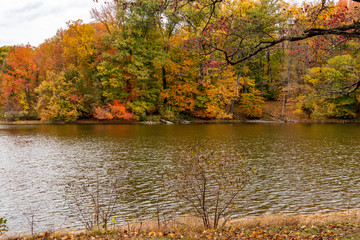 Fototapeta premium Audubon State Park