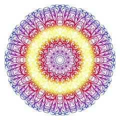 Modern floral vector ornaments. Decorative flower mandala. vector illustration.