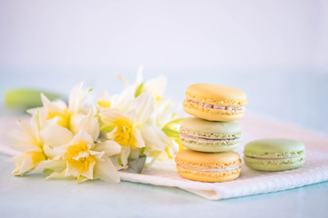 Plakat colorful macarons on towel with nice yellow flowers