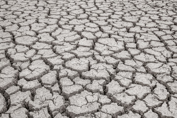 Closeup of crack soil texture