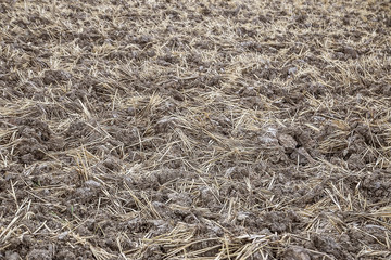  Plowed field in spring day. Black soil plowed field