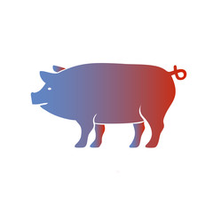 Pig icon. Colourful red, blue, green, yellow, gold pig. New Year. The year of the pig.