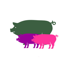 Pig icon. Colourful red, blue, green, yellow, gold pig. New Year. The year of the pig.