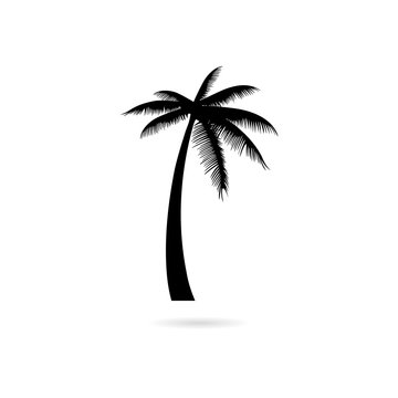 Black Silhouette palm tree, Palm tree icon or logo