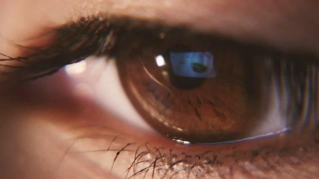  Macroshot of a thoughtful brown female eye with a big black pupil  twinking and looking down having  lovely eyelashes and young skin around