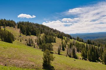 Fototapeta na wymiar Yellowstone landscape