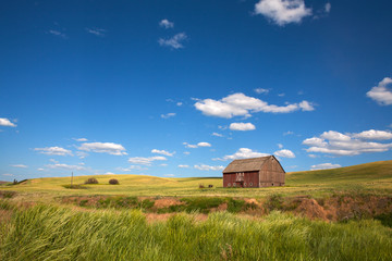 landscape with barn and blue sky © sangwon