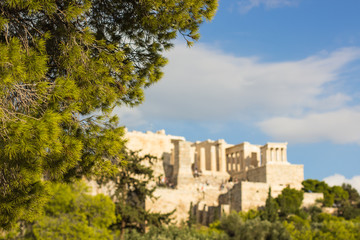 tourism agency banner wallpaper concept of pine tree foreground with soft focus branches and needles and unfocused background ruins of ancient antique temple heritage place, copy space