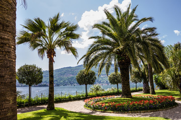 Obraz na płótnie Canvas Botanical garden in Lombardy, Italy. Villa Taranto, Maggiore lake