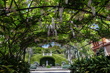 Green park in summer, Italy. Lombardy,  Villa Taranto botanical garden