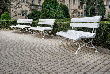 Fototapeta na wymiar Empty white benches in the park garden in summer