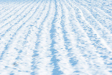 Agricultural field winter snow