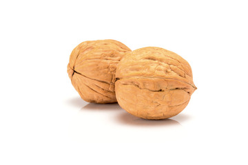 Two walnuts, close up macro, isolated on a white background.