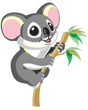 Cute happy koala hangs on a branch. Cartoon vector illustration for baby and little kid