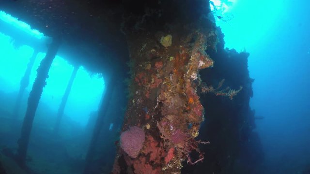 Scuba diving  diving course deep diver with instructor liberty wreck Tulamben indonesia Bali