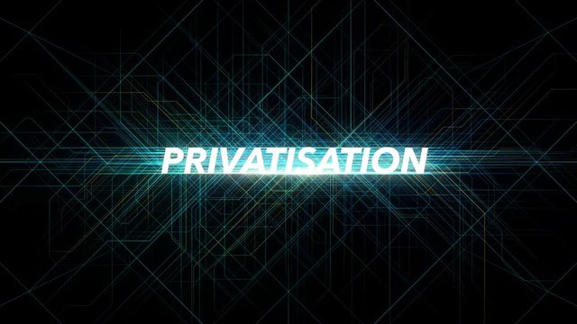 Digital Lines Tech Word - PRIVATISATION