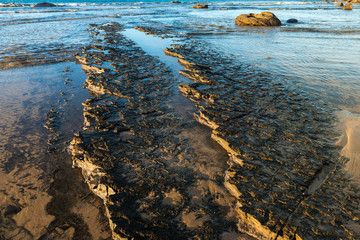 Cartwright, Sunshine Coast