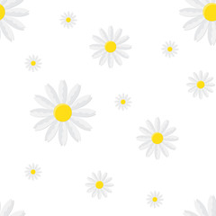 Seamless pattern with chamomile. Vector illustration.