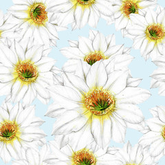 Seamless pattern of dragon fruit flowers