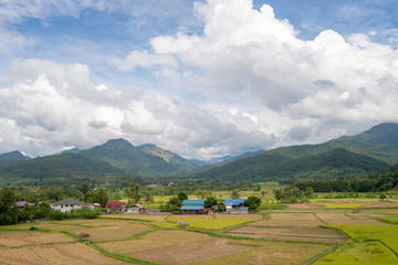 Harvested field In the harvest season