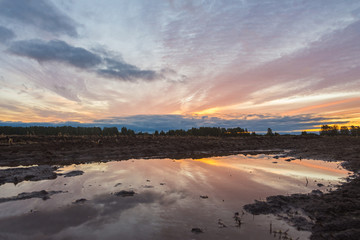 The reflection of dawn in a puddle in a field