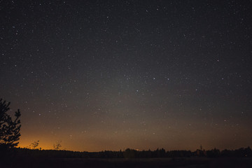 Starry sky over the forest