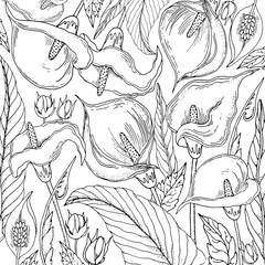 Doodle floral background in vector with doodles black and white coloring page