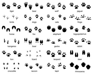 Set of footprints of wild animals, illustration of black silhouette