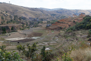Landwirtschaft bei Mahatsanda