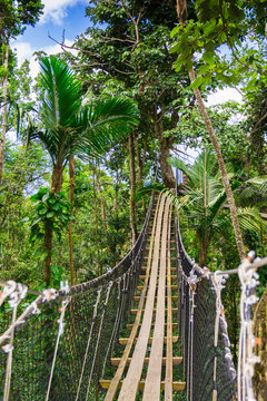 Hanging bridge in Mamelles Parc, Bouillante, Basse-Terre, Guadeloupe