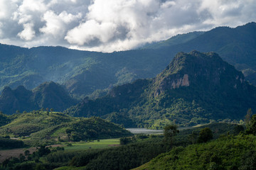 Mountain Forest on a cloudy day