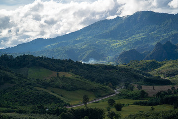 Mountain Forest on a cloudy day