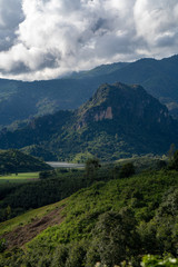 Mountain Forest on a cloudy day