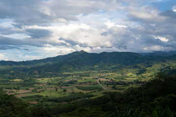 Mountain Forest on a cloudy day
