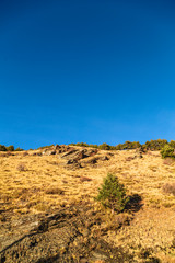 Hill with dry grass and blue sky in Andalucia, Spain