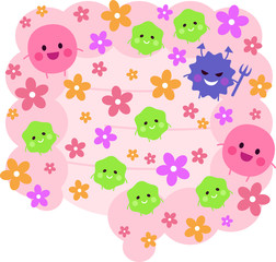 腸内細菌（善玉菌・悪玉菌・日和見菌）腸内フローラ