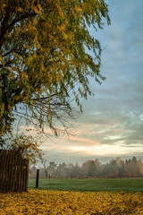 Obraz premium Sonnenaufgang mit Nebel über Herbstlandschaft, HDR