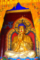 buddha in a temple