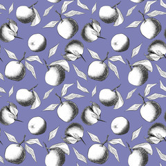 Seamless pattern: mandarins or apples, unique pencil drawings of fruits and leafs combined into beautiful compositions