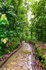 Famous cascade aux ecrevisses on route de la Traversee in Basse-Terre, Guadeloupe